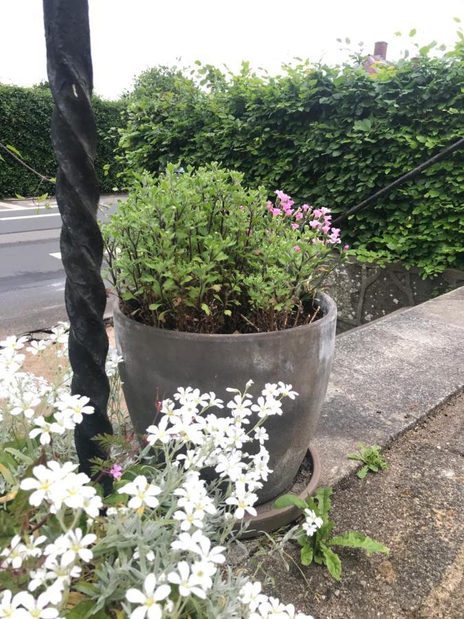 Bnb Thuroe Svendborg Exterior foto